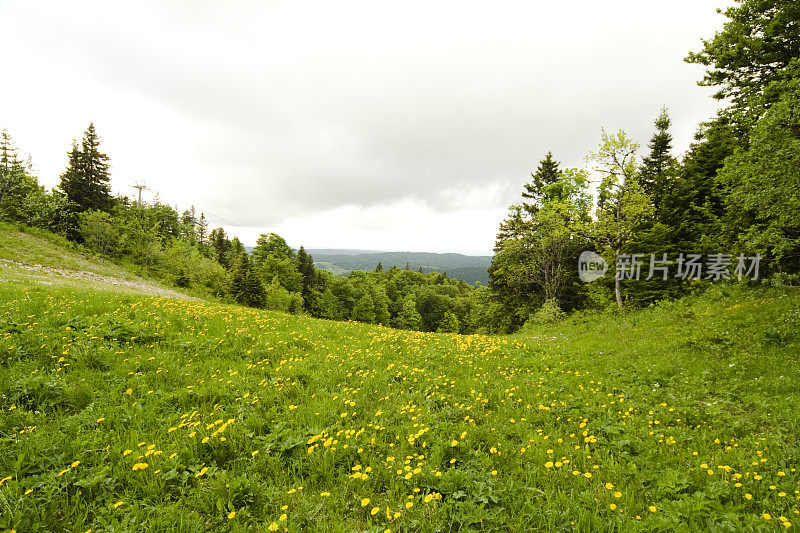 从Col de la Faucille, Jura, Ain地区，法国